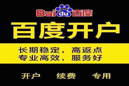 sem代运营机构成功案例：打造高效广告投放策略
