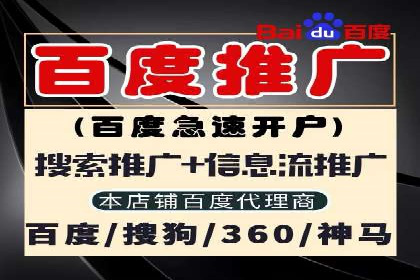 案例分析：托管SEM竞价助力电商旺季促销